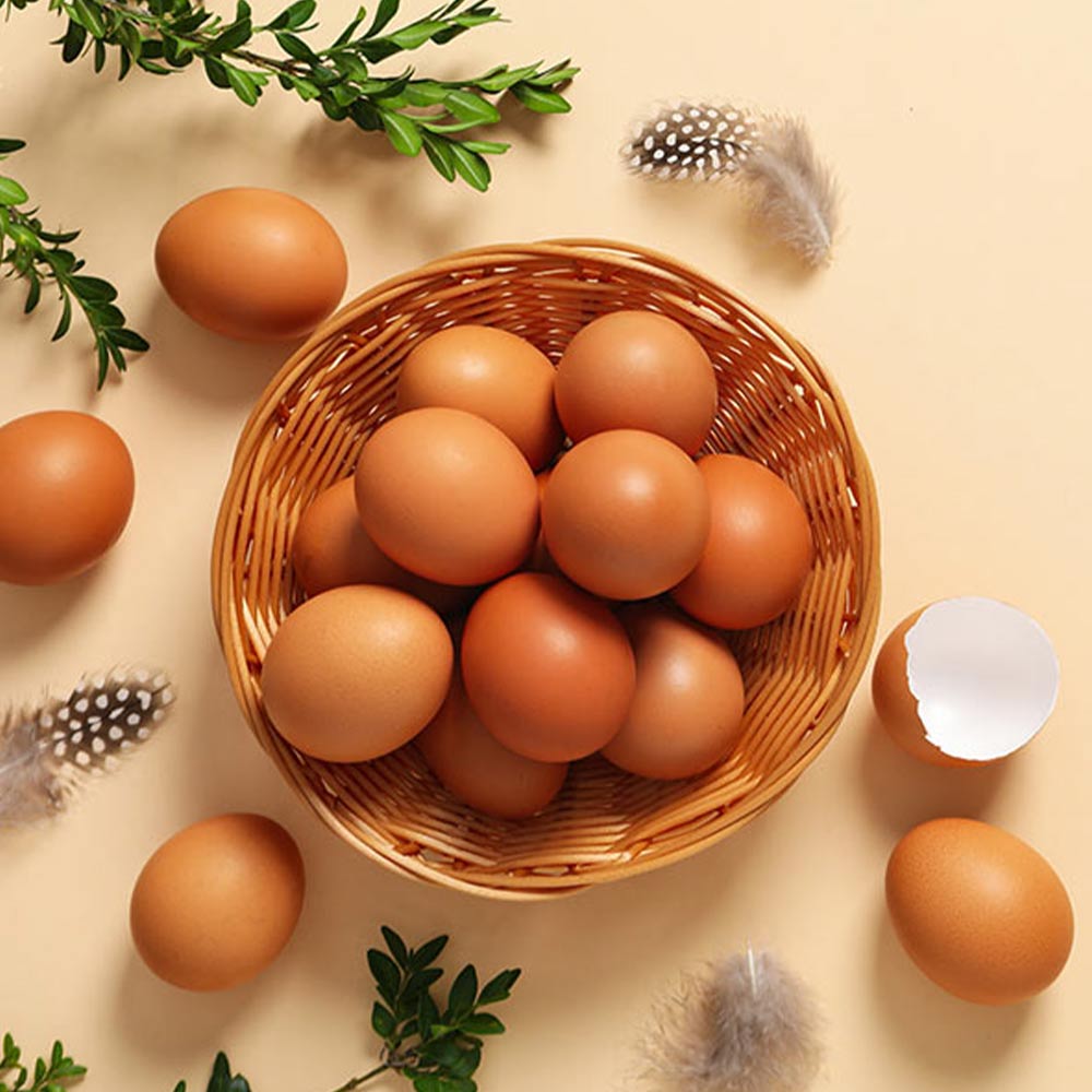 Il ferro nell'alimentazione del bambino