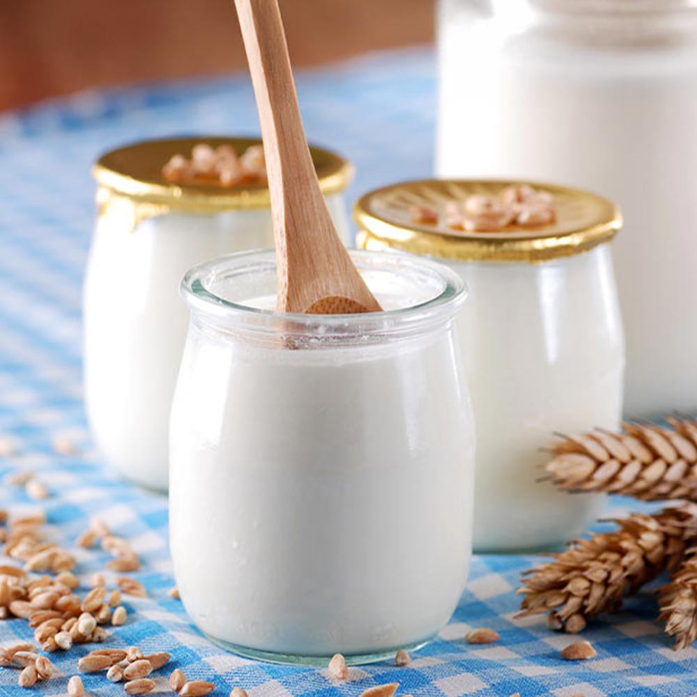 Le origini dello yogurt