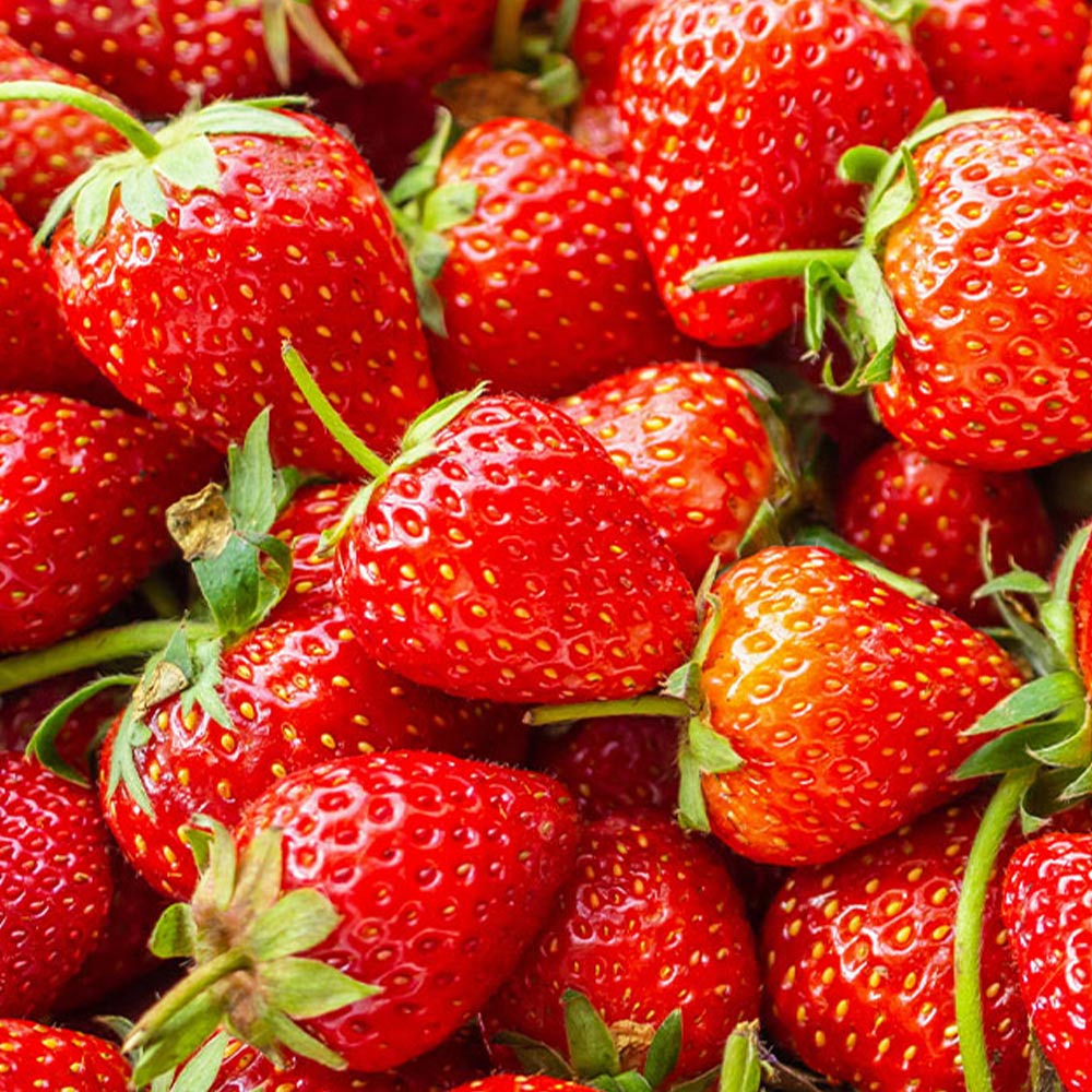 Valori nutrizionali fragola