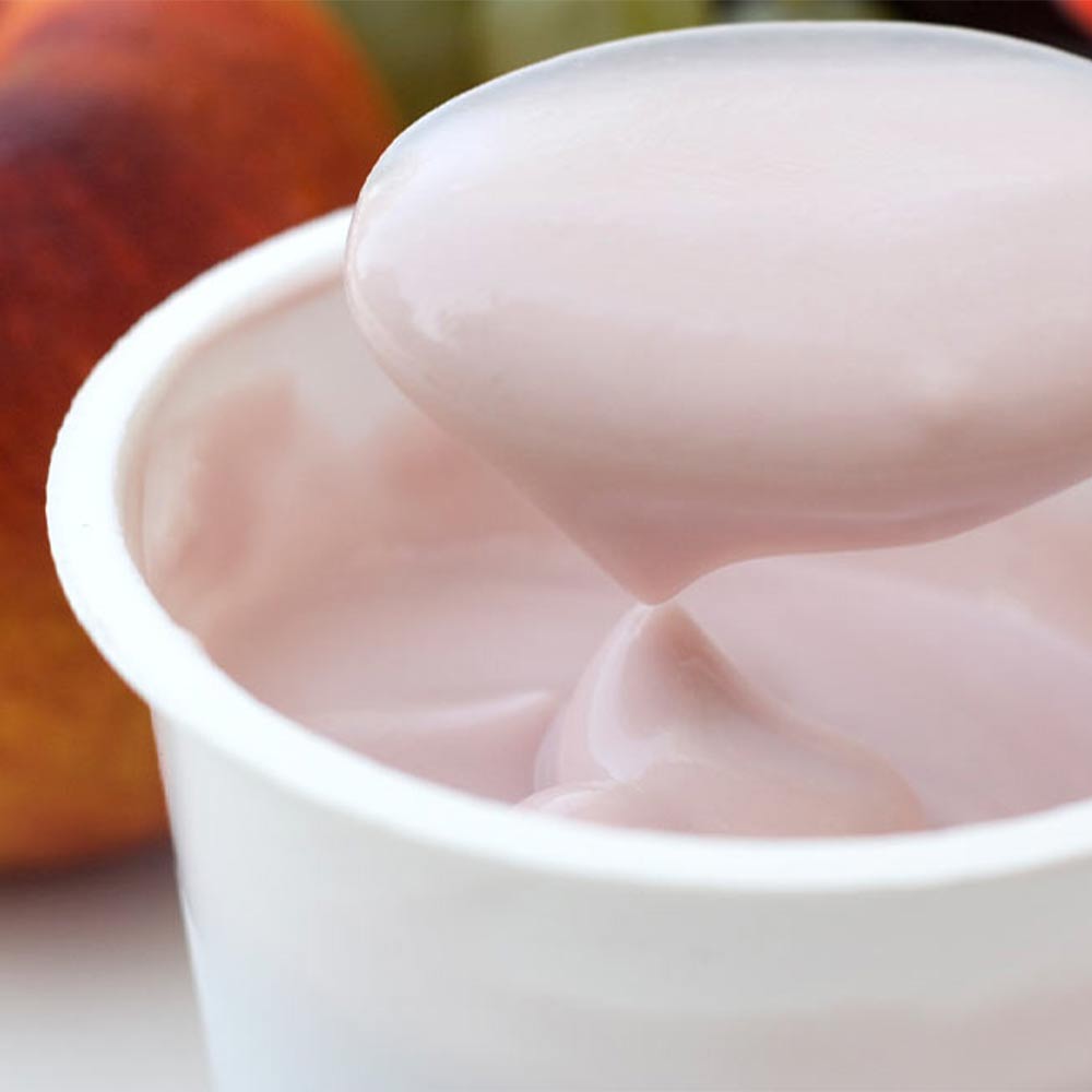 Cosa sono i Fermenti lattici vivi