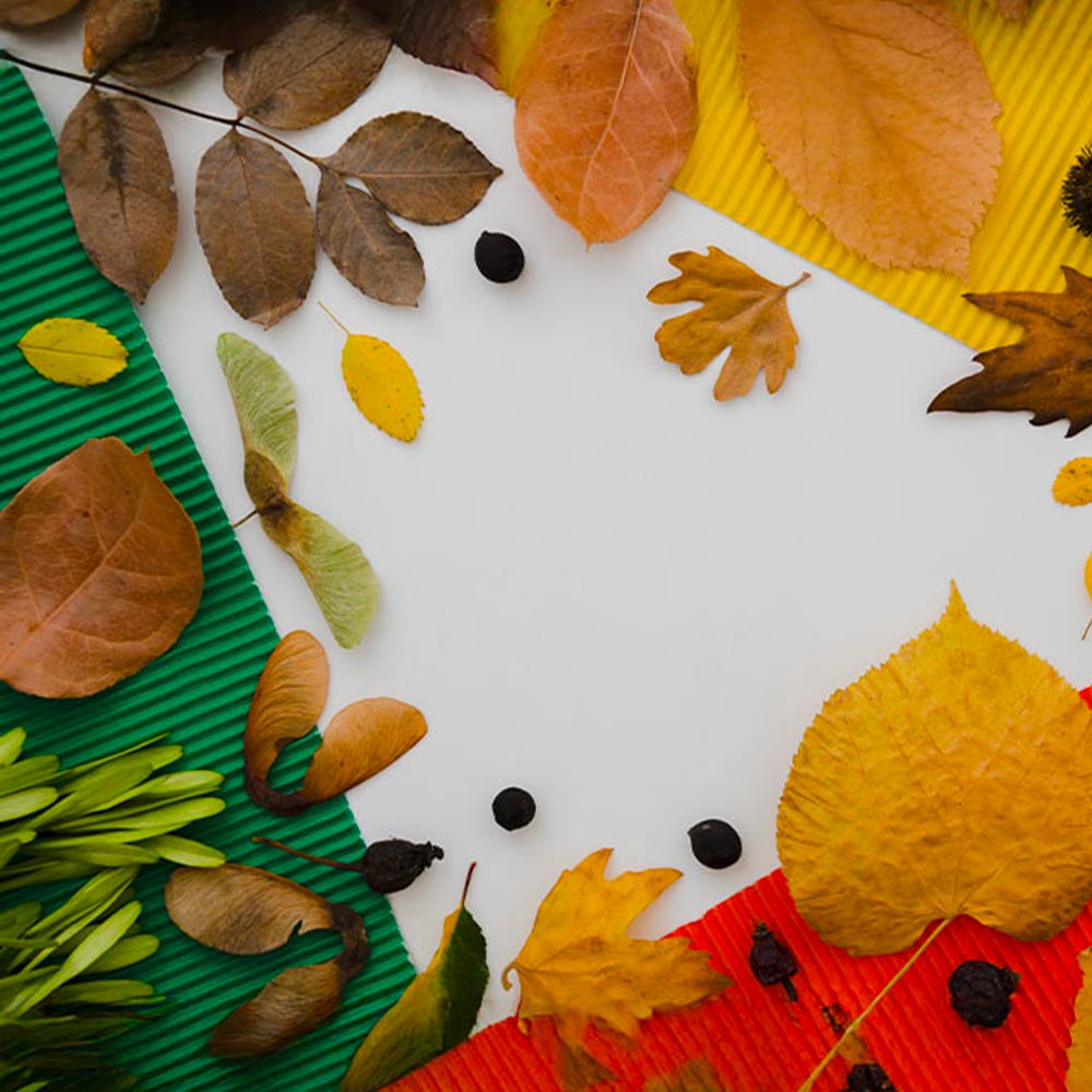 Lavori creativi con le foglie da fare con i bambini