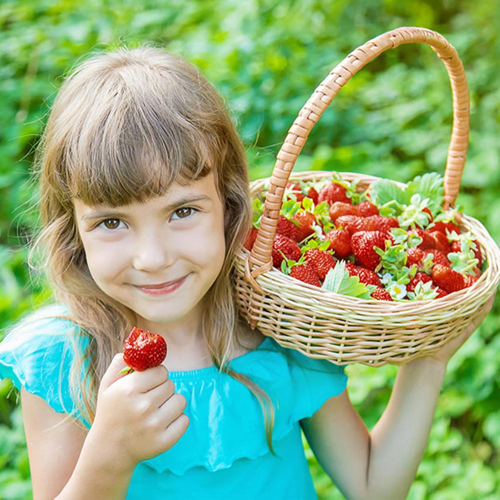 Mangiare frutta a merenda: fa bene?