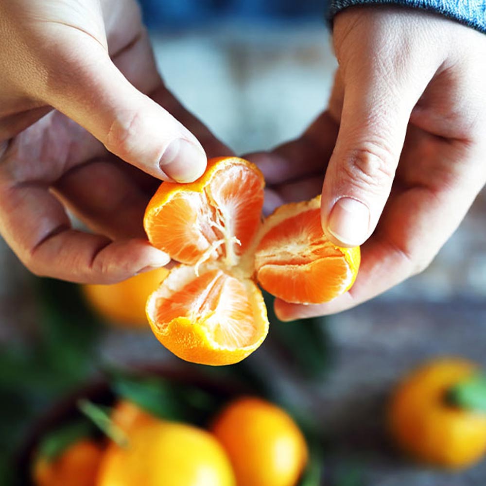 Mandarino. Le proprietà che fanno bene all'alimentazione dei bambini