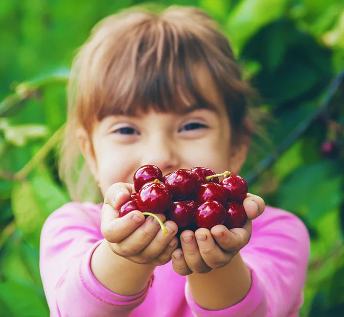 Valori Nutrizionali della Ciliegia: proprietà e benefici