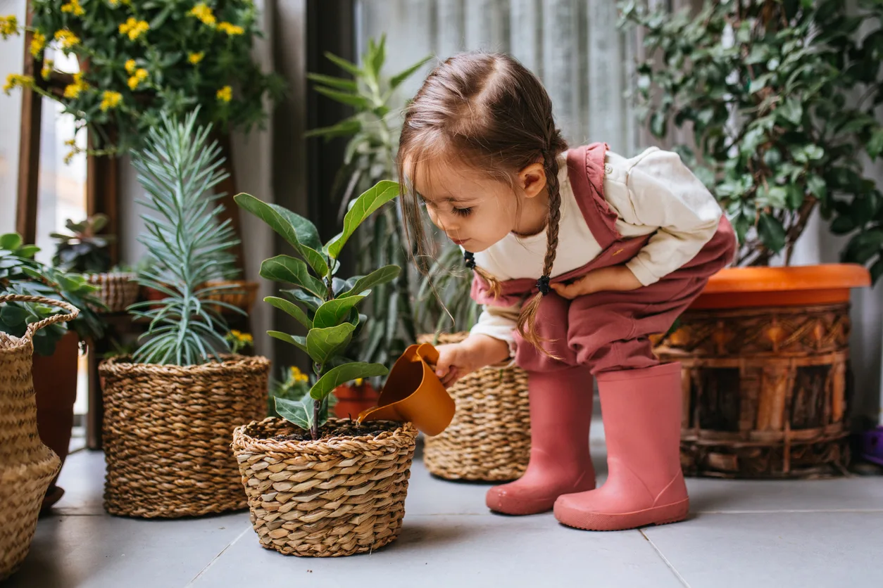 Fotosintesi clorofilliana per bambini: una spiegazione semplice