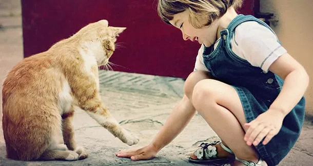 Vantaggi crescere con animali