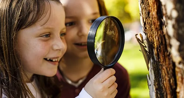 Come spiegare la catena alimentare ai bambini
