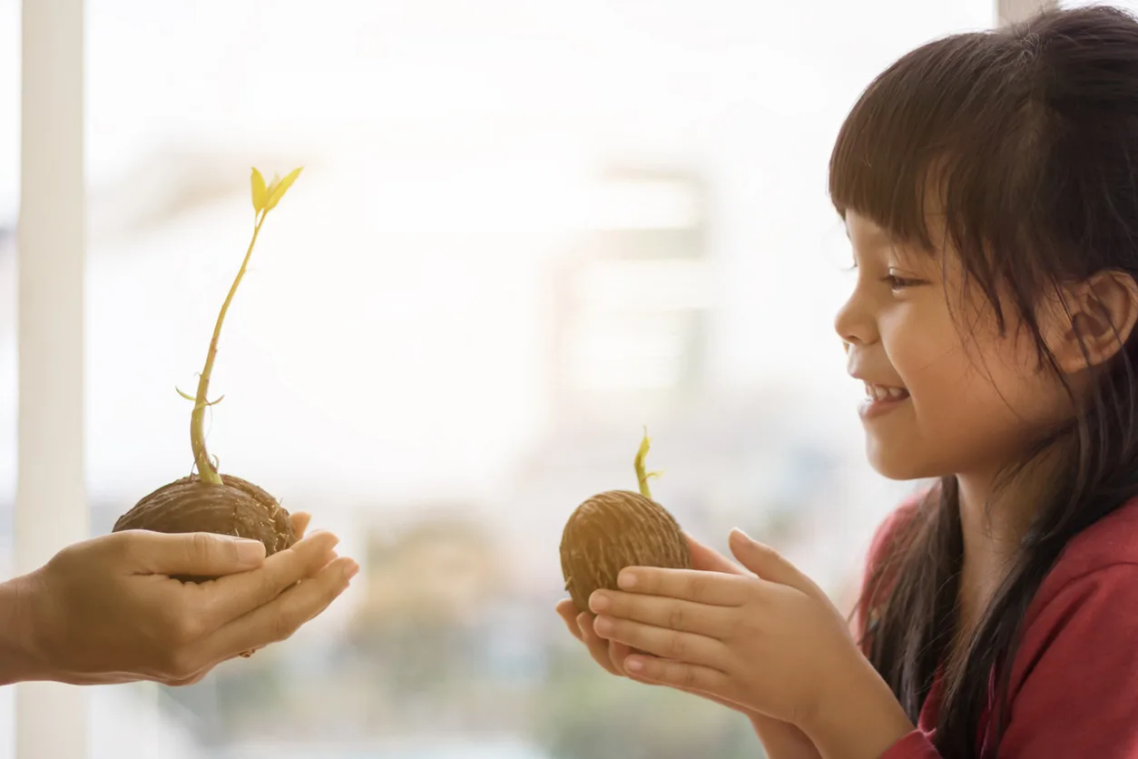 Parti del fiore: come spiegare ai bambini quali sono e a cosa servono